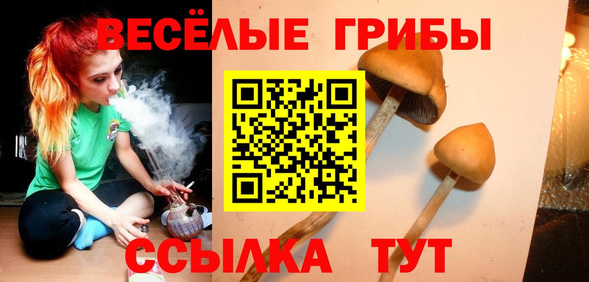Псилоцибиновые грибы прущие грибы Вологда